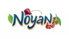 Noyan Tapan